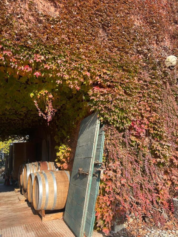 Tenuta Pizzone Wine Resort Rivanazzano Terme Exterior photo